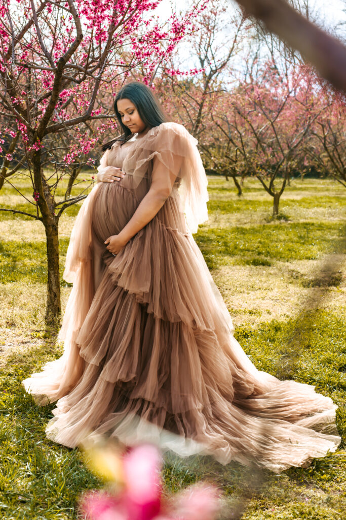 Elegant Maternity Portraits amid the Peach blooms at Millstone Creek Orchard - Photo By RattTrap Artistry 