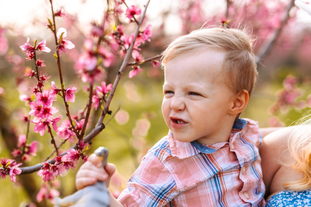 Motherhood Mini's, North Carolina Photographer, Motherhood Sessions, Springs Mini's, Peach Bloom Mini's, Millstone Creek Orchard, North Carolina Family Photographer, Motherhood, Spring Photo ideas, Motherhood sessions, mothers day photos, mothers day photo ideas, spring time, Motherhood Inspiration, Mommy & me Photo ideas, Motherhood photo ideas, Peach Blossoms, 