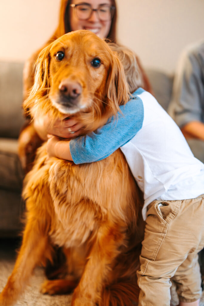 Little Boy hugging his golden retriever dog, durning an in home family photos session in High Points, North Carolina 