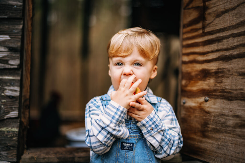 Toddler boy taking a big bite of an apple at family session on private property in North Carolina 