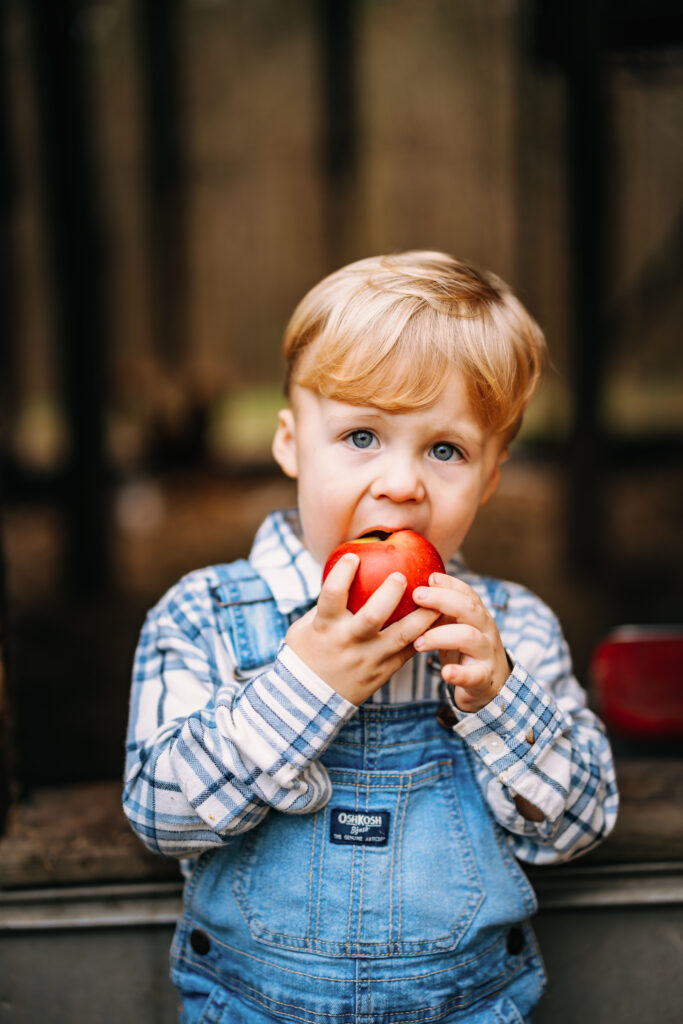 Toddler boy taking a big bite of an apple at family session on private property in North Carolina 