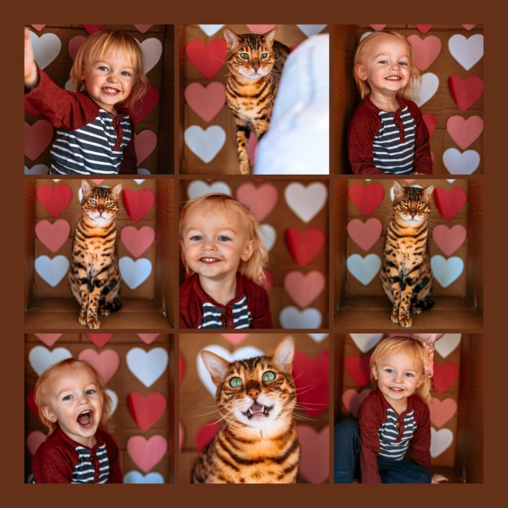 Toddler boy and his cat in a cardboard box valentine's day themed photos. 9 Template layout. 